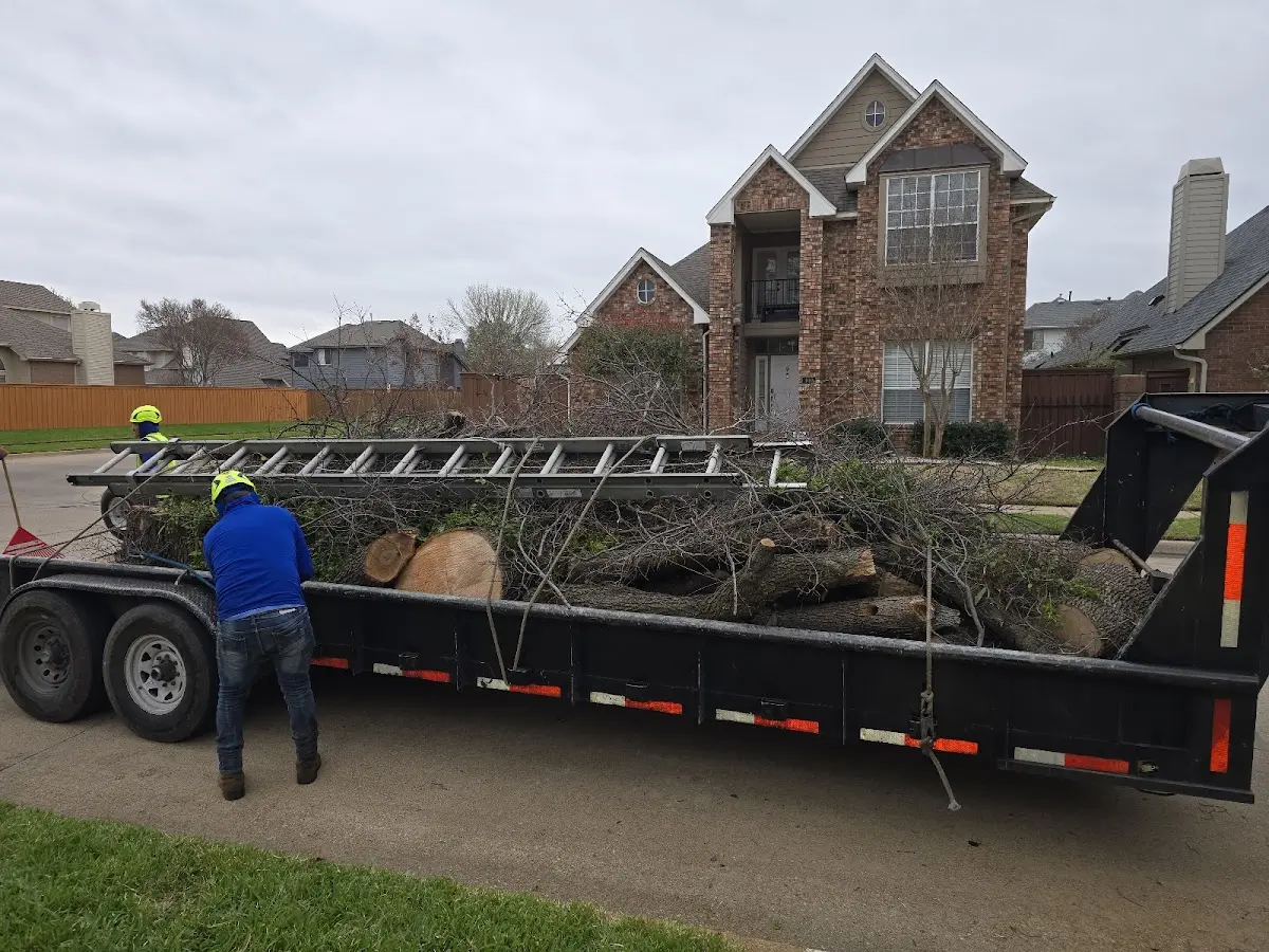 Expert Tree Removal with proper safety equipment in Tie Siding